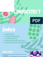 Linfocitos T