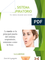 El Sistema Respiratorio: Por: Mathew Alexander Quico Garrafa