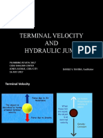 Topic 20 - Terminal Velocity and Hydraulic Jump