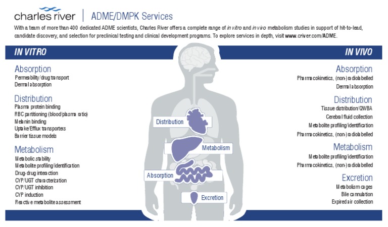 Comprehensive ADME Services Overview | PDF | Drug Metabolism ...