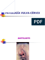 Patología Vulva-Cérvix
