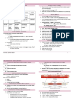 Muscular System 2nd Sem