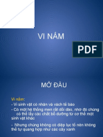 VI NẤM SV