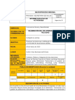 Plantilla Informe Sobre El Dia de La Felicidad