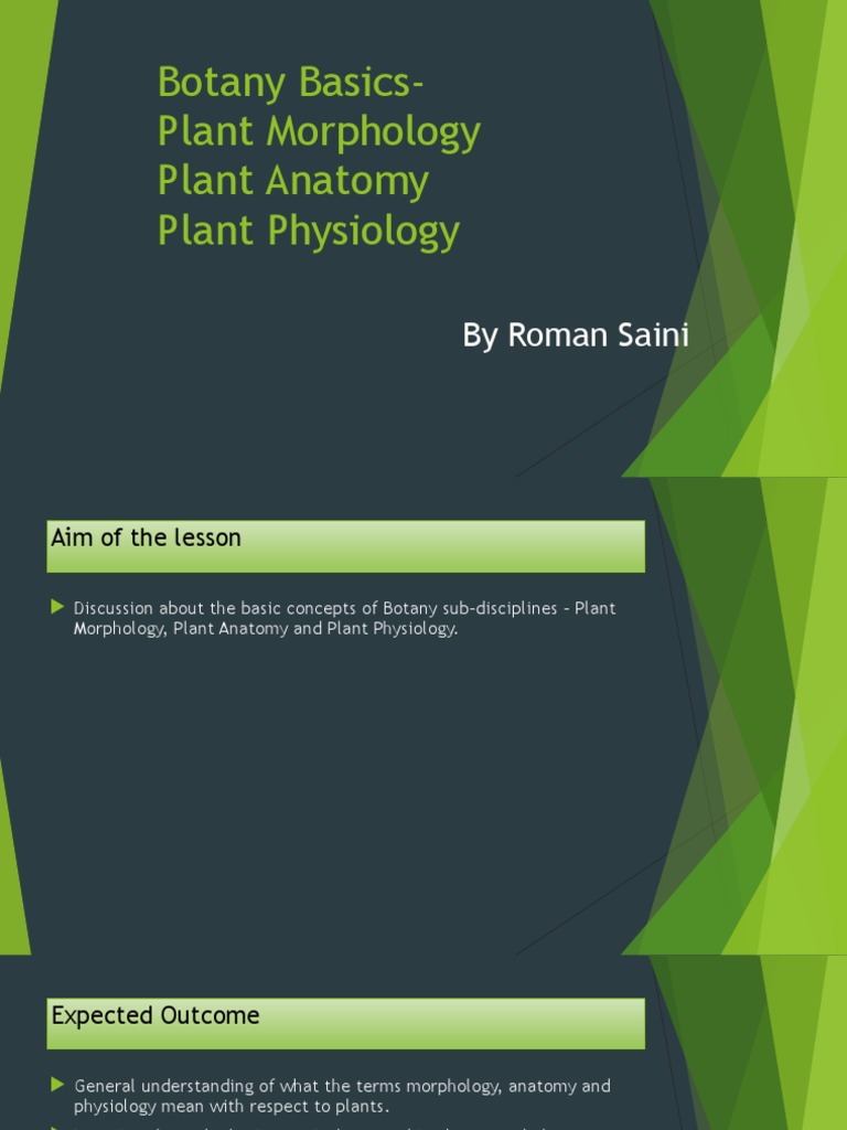 Botany-Plant Morphology-Anatomy-Physiology | PDF | Tissue (Biology) | Leaf