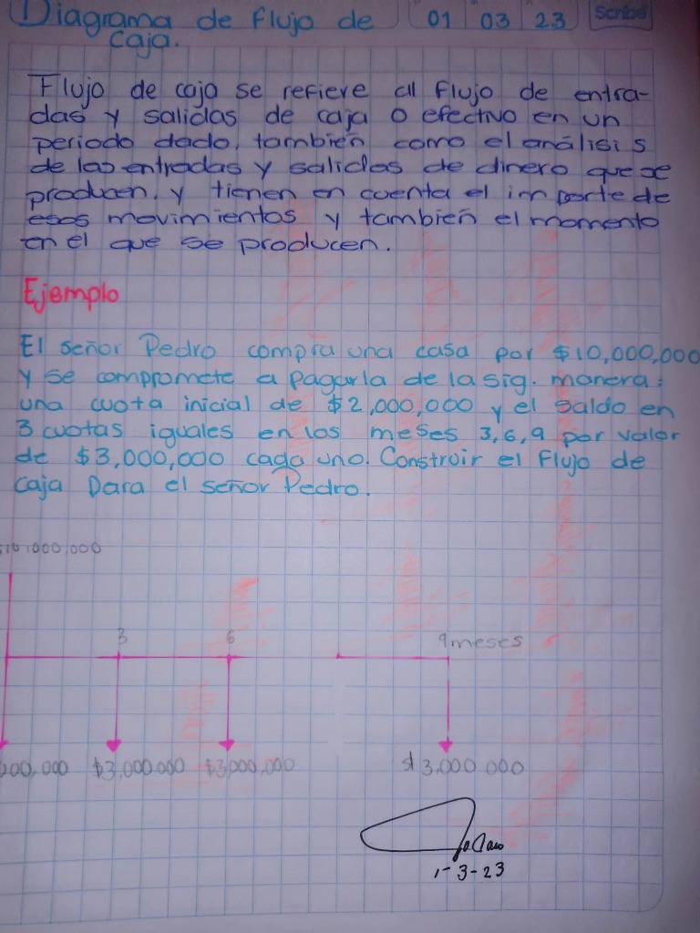 Diagrama de Flujo de Caja | PDF