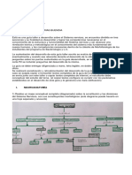 Taller Guía Estudio Sistema Nervioso Catedra Morfofisiología Bacteriología y L.C. Universidad de Santander