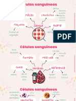 Células sanguíneas: funções e tipos