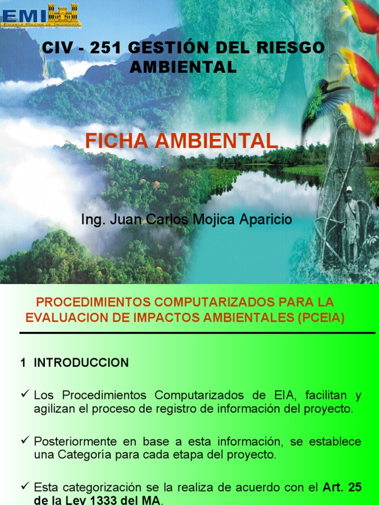 4 Ficha Ambiental | PDF | Evaluación de impacto ambiental | Entorno natural