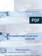 Human Anatomy-I: Ambo University by Gutu B (B.SC, M.SC)