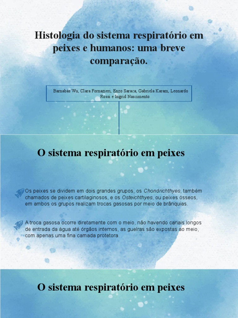 Slides Histologia Pdf Sistema Respiratório Pulmão