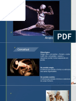 Introdução Anatomia Humana