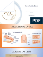 Curso Acrílico Inicial: Anyelis Matamoros Luisana Terrero Educadoras