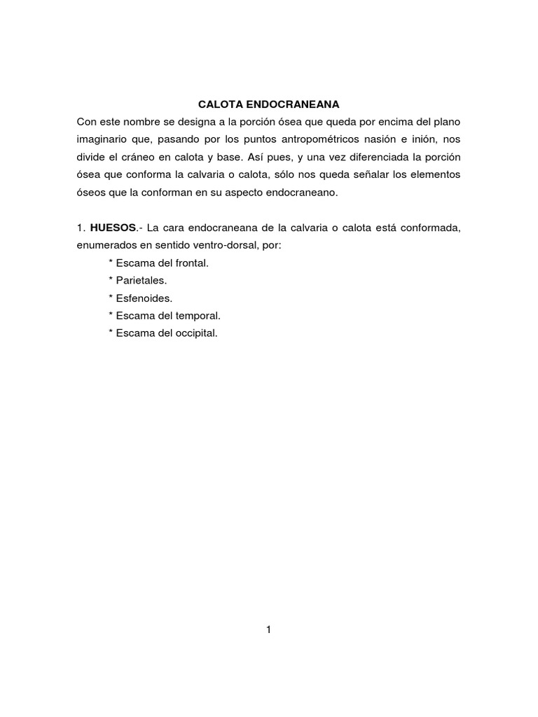 Práctica 1-Endocráneo y Calota | PDF | Cráneo | Sistema esquelético