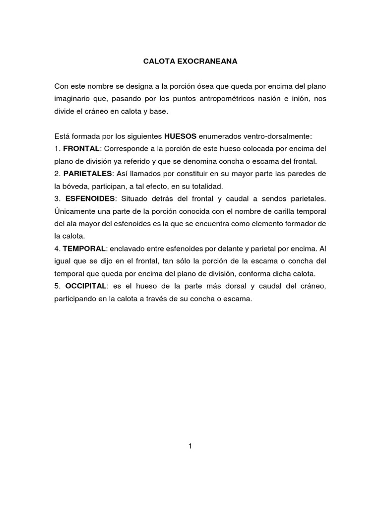 Práctica 2a-Exocráneo y Calota | PDF | Cráneo | Sistema esquelético