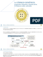 Tema 6