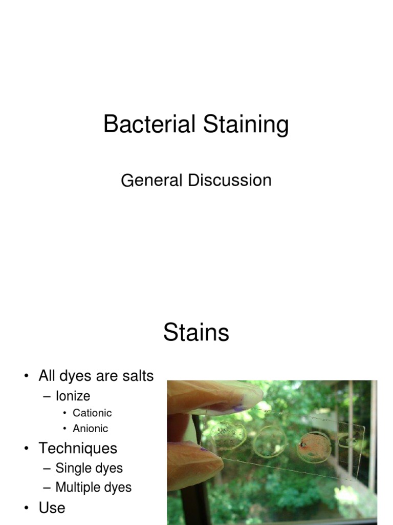 Bacterial Staining Pdf