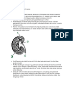 Histologi Sistem Urinarius