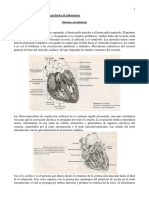 13-UNIDAD 7 SISTEMA CIRCULATORIO - Doc Versión 1