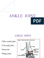 Ankle Joint