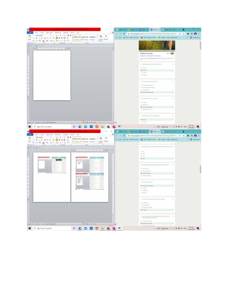 Midterms PDF