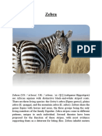 SEO-Optimized Title for Document about Zebras