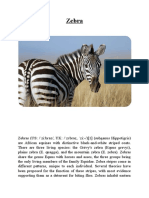 About Zebra