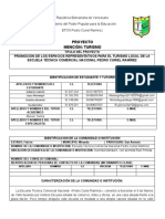 Formato Sintetizado Del Proyecto Pedro Curiel Ramirez Acoso Escolar