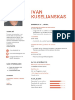 Ivan Kuselianskas: Experiencia Laboral