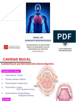 Tema 3 y 4 Histologia