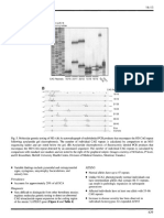 Molecular_Genetic_Pathology_L_Cheng (1)-429