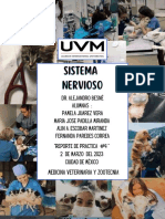 Prctica#4 Sistema Nervioso PMFA