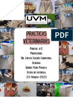 Practicas - Veterinarias PJV