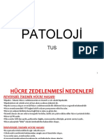 Patoloji