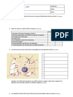 Control Essers Vius