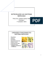 Introdução ao Sistema Nervoso