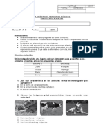 Diagnósticos terceros básicos ciencias naturales