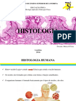 Histologia: Intituto de Ensino Superior de Londrina