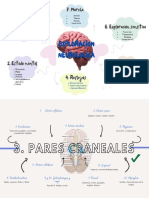 Exploración neurológica completa