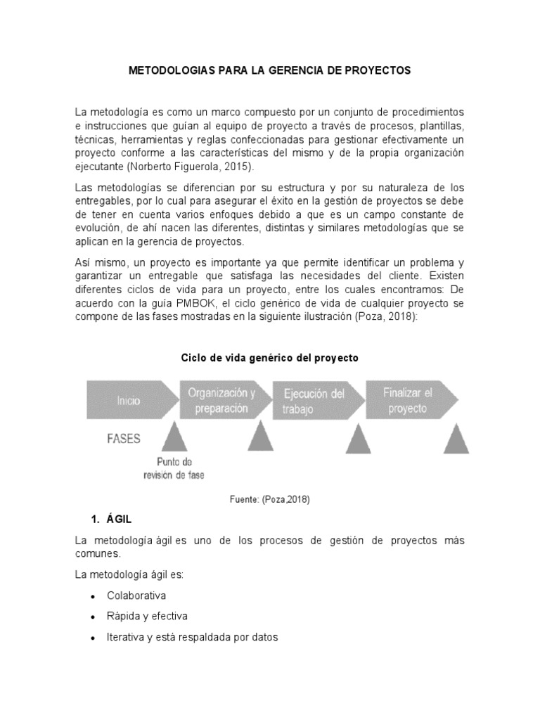Metodologias para La Gestion de Proyectos | Descargar gratis PDF ...