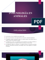 Inmunología animal: inflamación, células de defensa y tipos de antígenos
