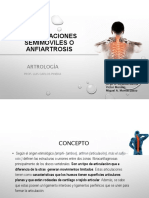 Anfiartrosis: articulaciones semimóviles
