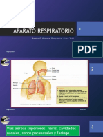 Aparato Respiratorio: Anatomía Humana. Bioquímica. Curso 2019