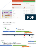 Clinical Trial Roadmap Template - Ws