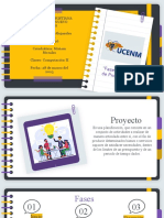 Tipos y Fases de Proyecto