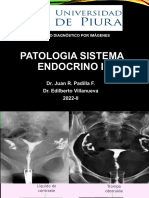 Patologia Sistema Endocrino Ii: Dr. Juan R. Padilla F. Dr. Edilberto Villanueva 2022-II