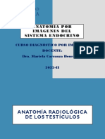 Anatomia Por Imágenes Del Sistema Endocrino