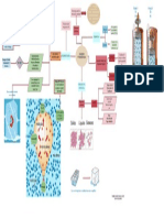 U1 Diagrama Termo Hidro