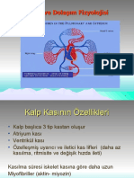 Eczacılık Kalp Dolaşım 2022