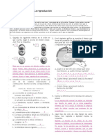 Actividad 8.1